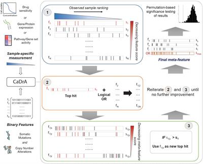 CaDrA: A Computational Framework for Performing Candidate Driver Analyses Using Genomic Features